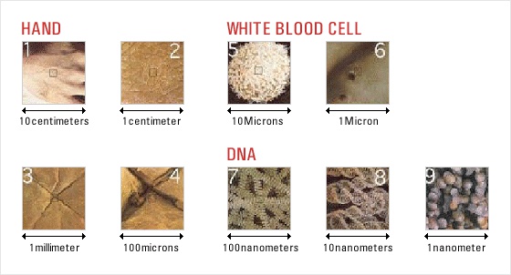 나노스케일의 예